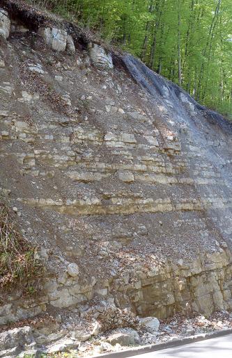 Seitlicher Blick auf eine steile, nach links ansteigende Gesteinswand. Die leicht stufige, teilweise von Rutschmaterial bedeckte Wand ist das untere Ende eines Waldhanges. Das gelblich graue Gestein ist mit Netzen gesichert.