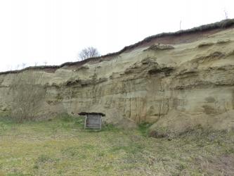 Seitliche Ansicht einer nach rechts ansteigenden, grünlich braunen Wand einer ehemaligen Sandgrube. Oben, unter Grasbedeckung, ist ein Streifen dunkelbraunen Bodens erkennbar. Am Fuß der Grube ist der Boden mit Gras und Sträuchern bewachsen.