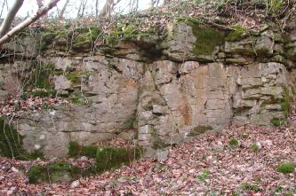 Blick auf eine alte Steinbruchwand an einem nach rechts aufsteigenden Waldhang. Das graue, zerklüftete Gestein ist bemoost und bewachsen. Davor und rechts liegt abgefallenes Laub.