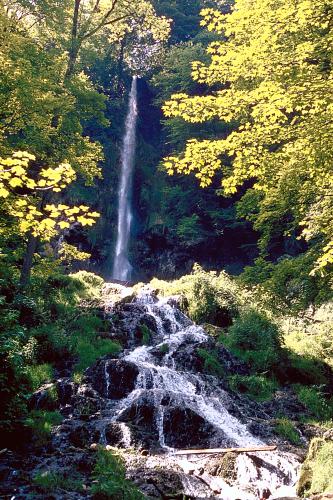 Blick auf einen zweigeteilten, von Wald umgebenen Wasserfall. Im Hintergrund stürzt das Wasser aus großer Höhe hinab, im Vordergrund fließt es über mehrere, treppenartig aufgebaute flache Stufen weiter.
