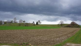 Blick auf eine höher gelegene, leicht nach links abfallende Ackerfläche, an die sich rechts und links Wiesen anschließen. Im Bildhintergrund grenzen die Flächen an flache Hügel mit Felsbildungen sowie Bauminseln.