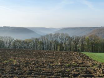 Der Blick geht über einen gepflügten, dunkelbraunen Acker mit rechts angrenzendem Grünland. Dahinter zieht sich eine noch wenig belaubte Reihe von schlanken Bäumen. In der Ferne ist ein V-förmiges Tal mit beiderseits ansteigenden, bewaldeten Höhen.  