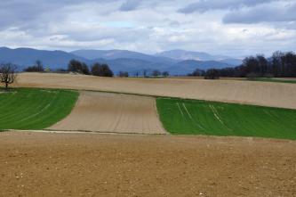 Blick auf mehrere, teilweise konvex gewölbte, flachhügelige Ackerstreifen. Der Acker im Vordergrund ist mittelbraun und steinig. Die Äcker dahinter sind heller, im Mittelgrund zudem links und rechts von Grün begrenzt. In der Ferne liegen bläuliche Berge.