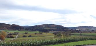 Der Blick geht über eine ebene, durch einen Damm rechts getrennte Landschaft mit Maisfeldern im Vordergrund sowie Grünflächen mit Gebüsch im Mittelgrund. Dahinter reihen sich bewaldete Erhebungen aneinander.