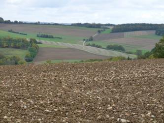 Blick über einen sehr steinigen braunen Acker auf eine wellige, nach links und rechts ansteigende Ackerlandschaft mit Baumgruppen links sowie Waldflächen rechts und im Hintergrund.