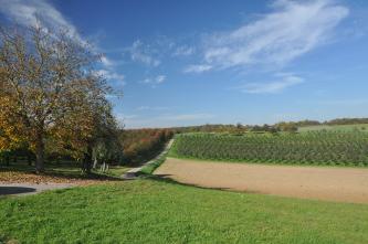 Blick auf eine zum Hintergrund hin ansteigende, durch einen Fahrweg getrennte Landschaft, in der sich links Obstbäume, rechts dagegen Wiesen, Äcker sowie eine Baumschule zeigen.