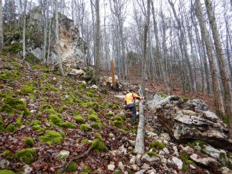 Zu sehen ist ein steiler, nach rechts abfallender Waldhang. Links oben und rechts vorne ist Felsgestein abgerutscht. Ein umgestürzter Baum nahe der Bildmitte wird von einem Arbeiter vermessen.
