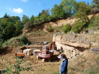 Blick von seitlich oben in einen Steinbruch, in welchem gerade Gestein mithilfe eines roten Baggers gewonnen wird. Der Steinbruch öffnet sich zur linken Bildhälfte. Im Vordergrund vor dem Steinbruch steht ein Mensch mit blauer Jacke.