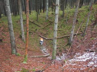 Der Blick richtet sich in einen Nadelwald. Im Vordergrund ist eine tiefe Mulde im Waldboden zu sehen, in der eine Person steht.