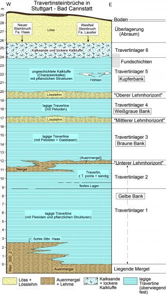 Farbige Grafik, das die Travertinlagerstätten zweier benachbarter Steinbrüche mittels Säulenprofil aufzeigt. Über dem Travertin liegen Löss und Kalktuffe.