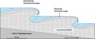 Vereinfachte Schnittzeichnung einer wellenförmigen Gesteinsschicht. In den Mulden sammelt sich Wasser, das bei ausreichender Höhe über die nächste Kuppe abfließt.